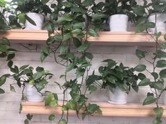-华莱士·炸鸡汉堡(奥林花园店)