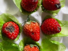 -大昌超市(中环店)