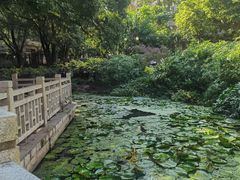 -晓港公园