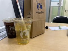 -大堂酒廊·富力丽思卡尔顿酒店