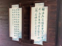 -大唐贡茶院