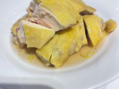 -席家花园(巨鹿花园店)