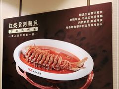 -阿五黄河大鲤鱼(英协路店)