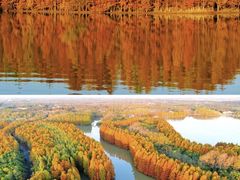 -上海海湾国家森林公园