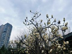 -木塔寺遗址生态公园