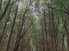 -同里国家湿地公园