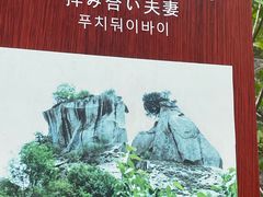 -秦岭终南山世界地质公园翠华山景区