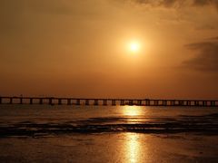 -宝安西湾红树林湿地公园