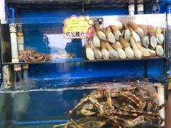 -蚝专家(北滘店)