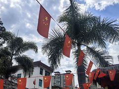 -茗情傣味