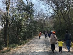 -紫金山山顶公园