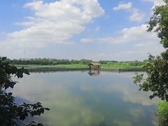 -溱湖国家湿地公园
