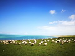 -青海湖国家重点风景名胜区