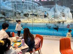 -帝企鹅自助餐厅•儿童岛•真企鹅(长隆企鹅酒店)