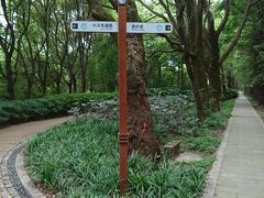-同里国家湿地公园