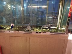 -衡山汇·高级粤菜(霄云路店)