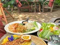 -Fern Forest Cafe