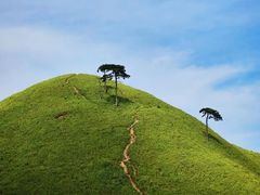 -萍乡武功山风景名胜区