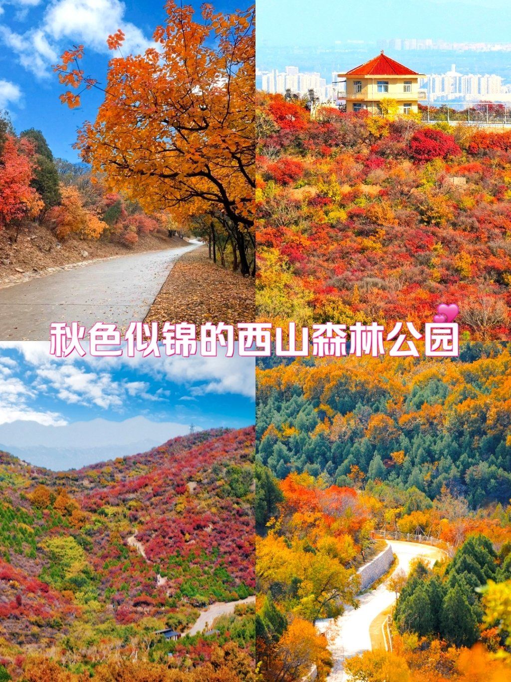 层林尽染,秋意盎然,西山国家森林公园