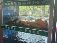 -全乐鱼馆·淳牌有机鱼直营店