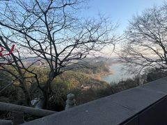 -爷爷不泡茶 NOYEYENOTEA(长沙五江天街店)