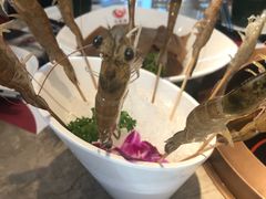 -小南房鲜美蛙火锅(北苑店)