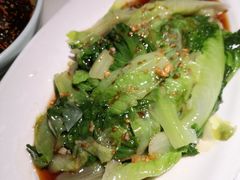 豉油生菜-佬肥猫(国华广场店)