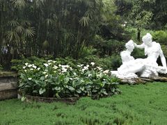 -南山植物园