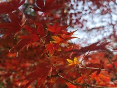 -共青国家森林公园-售票处