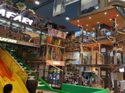 -卡通尼·Safari非洲探索乐园·生日会(金桥国际商业广场店)