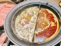 -呷哺呷哺(维多利万悦城店)