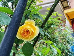 -T-COFFEE(长江花园店)