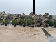 -石家庄市植物园