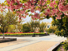 -南京航空航天大学(将军路校区)