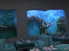 -瑞德姆美人鱼海底演艺主题餐厅(亚龙湾店)