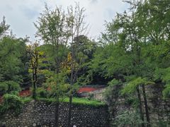 -阳台山自然风景区