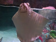 -沈阳海洋探索中心