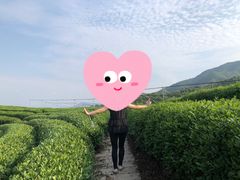 -听风阁农家私房菜茶楼(龙坞店)
