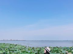 -阳澄湖费尔蒙酒店
