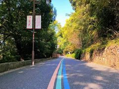 -杭州半山国家森林公园