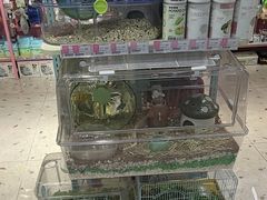 -FAELING PETS美天灵宠物(合生汇店)