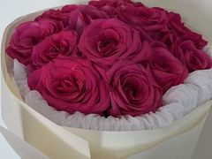 -沪花拾者(好再来花卉鲜花店)