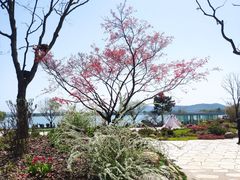 -渤公岛生态公园