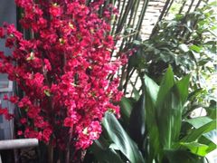 入门-老洋房花园饭店(绍兴路店)