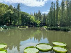 -上海滨江森林公园