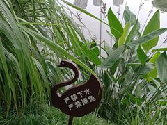 -重庆彩云湖湿地公园