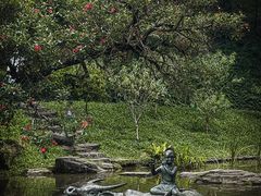 -广州市白云山风景名胜区