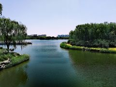 -大兴滨河森林公园