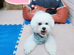 -有宠宠物(YOUCOIN·未来店)