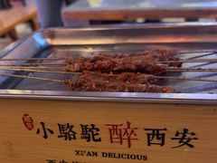 -福苗小骆驼烧烤(莲湖路店)